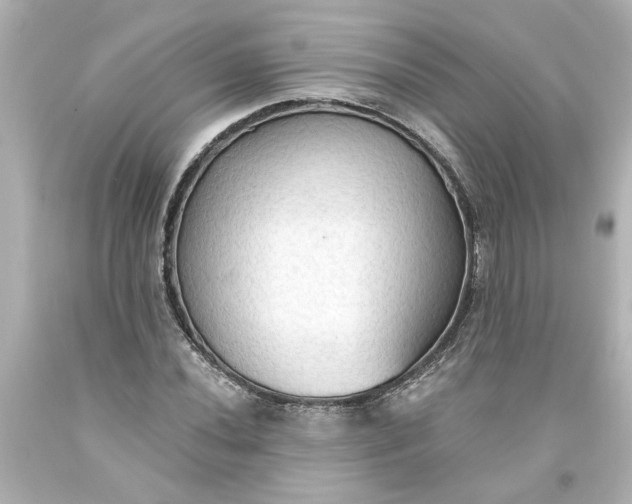 X0000093561020200710291014