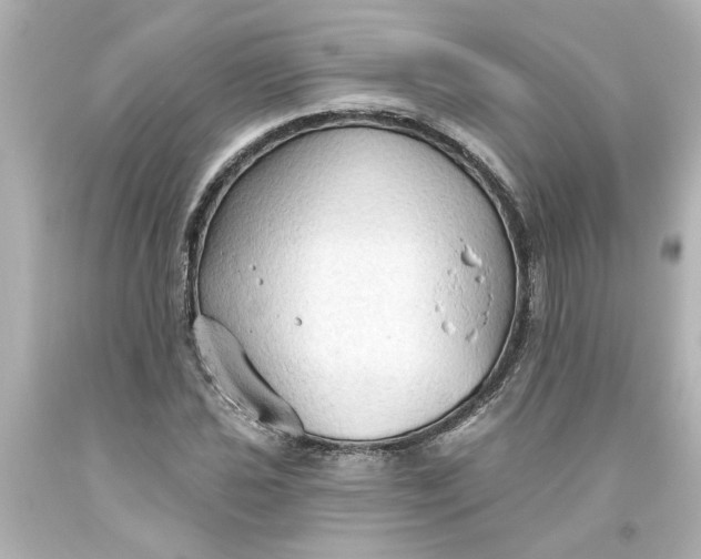 X0000093561021200710291014