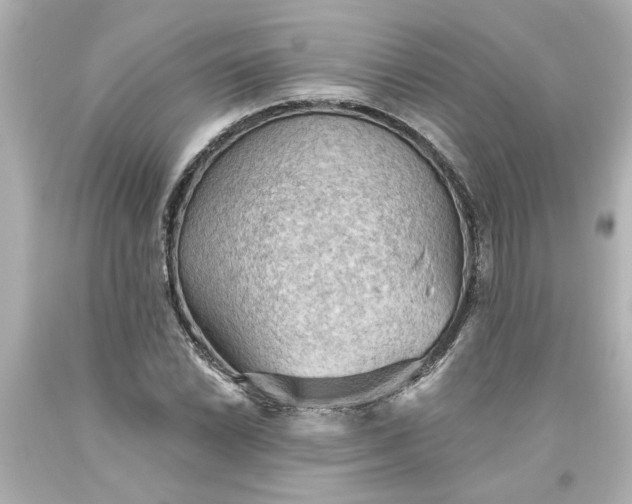 X0000093561022200710291014