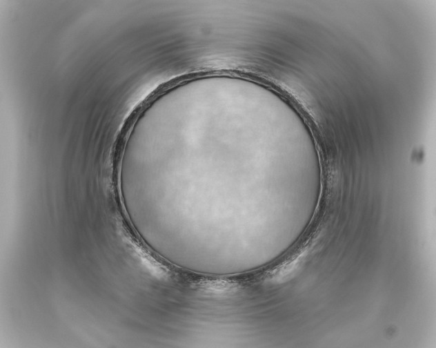 X0000093561023200710291014