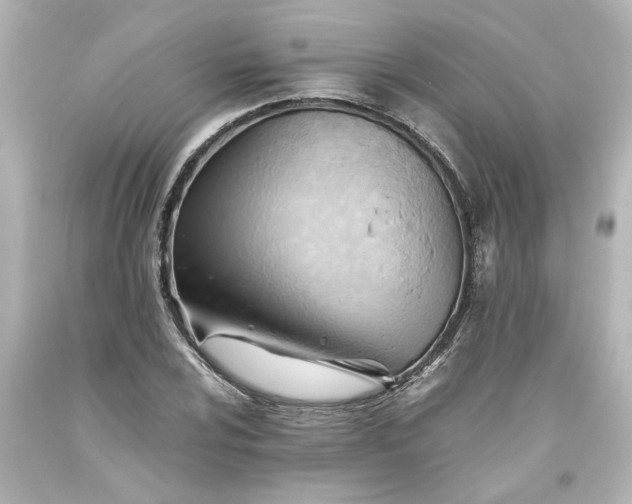 X0000093561024200710291014