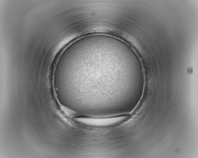 X0000093561026200710291014