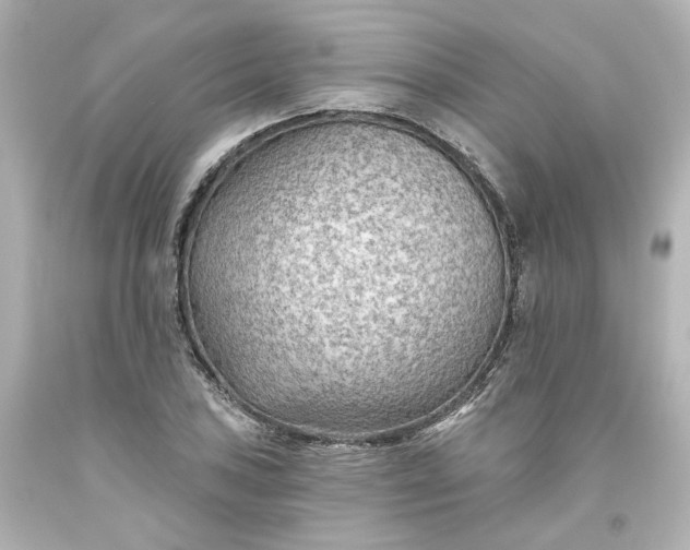 X0000093561027200710291014