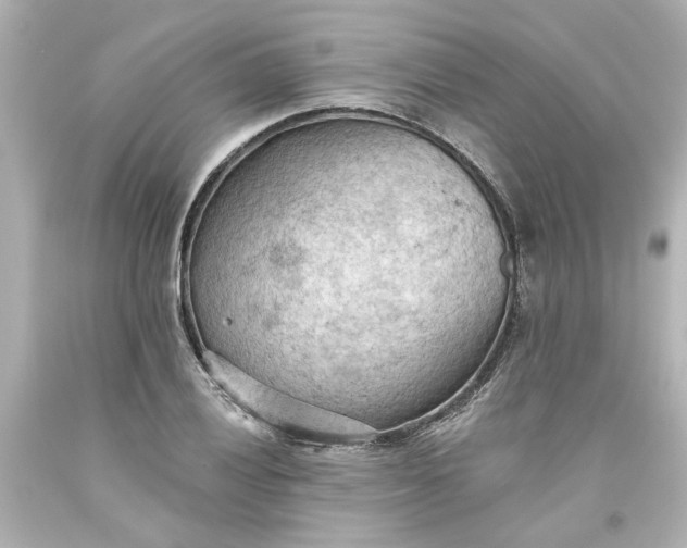 X0000093561028200710291014