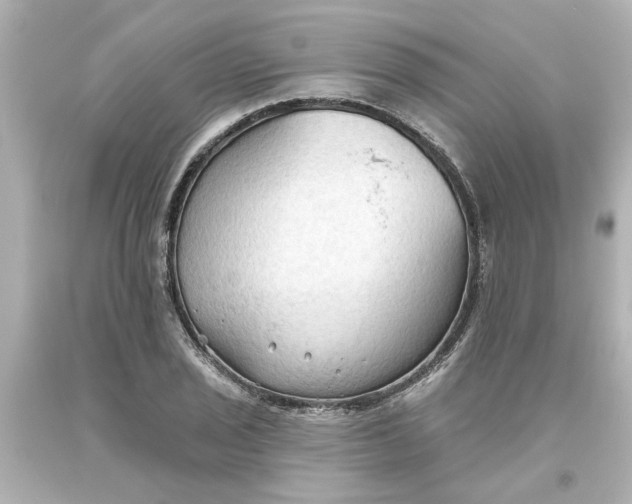 X0000093561029200710291014