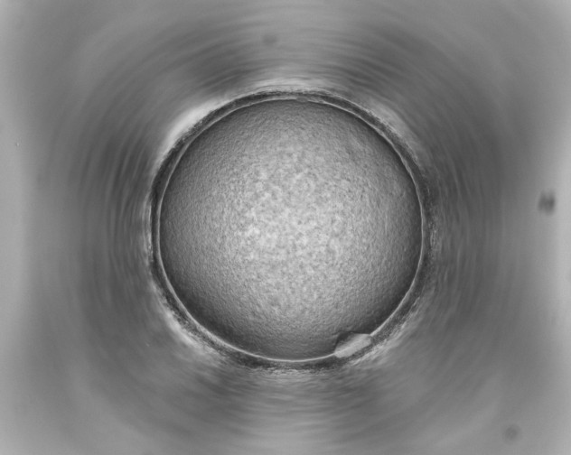 X0000093561030200710291014