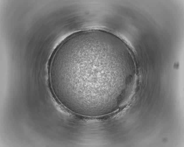 X0000093561031200710291014