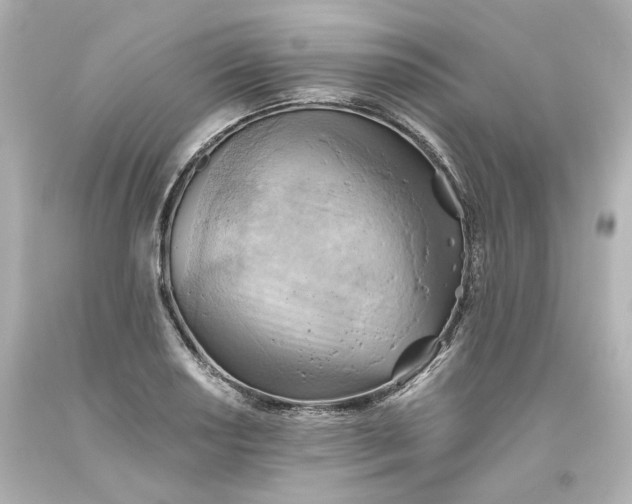 X0000093561034200710291015