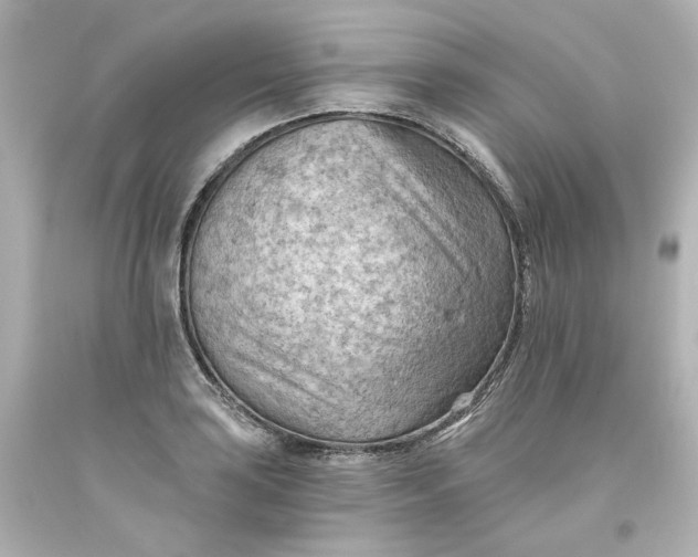 X0000093561035200710291015