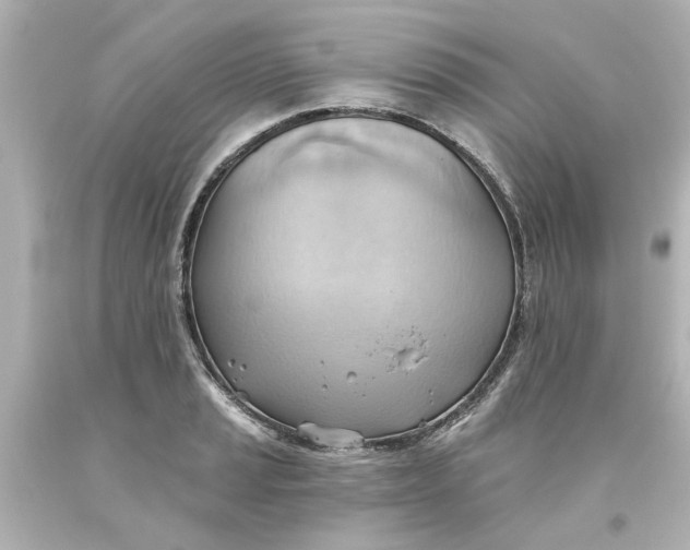 X0000093561037200710291015