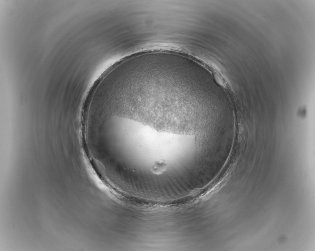 X0000093561038200710291015