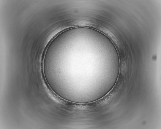 X0000093561039200710291015