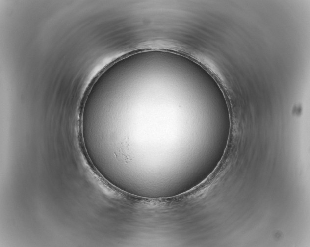 X0000093561040200710291015