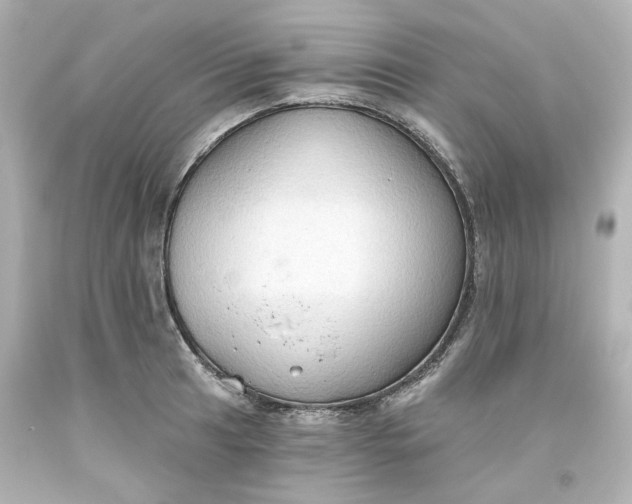 X0000093561041200710291015