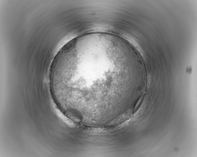 X0000093561042200710291015