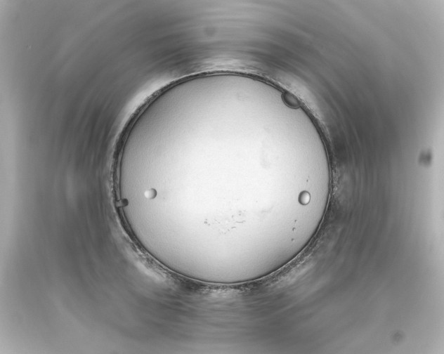 X0000093561043200710291015