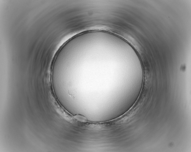 X0000093561044200710291015