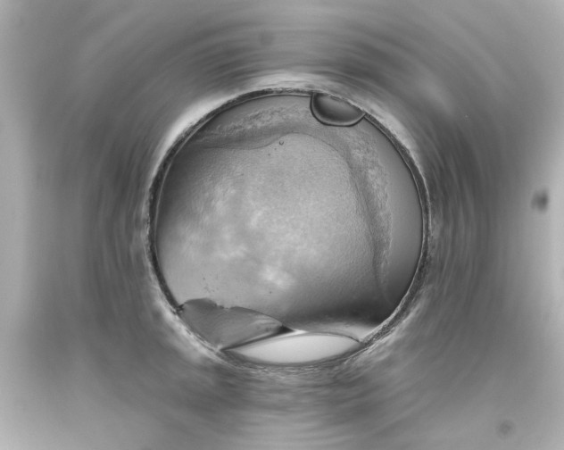 X0000093561045200710291015