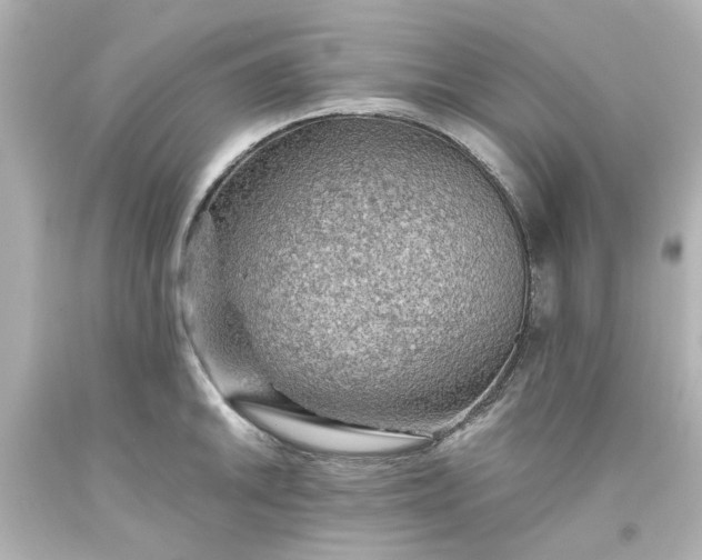 X0000093561046200710291015