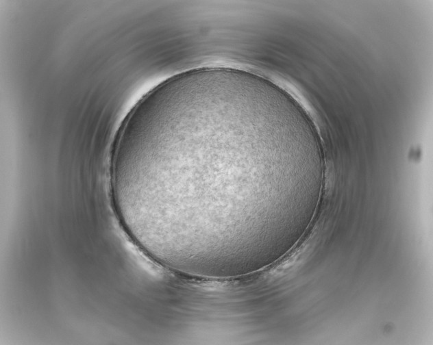 X0000093561048200710291015