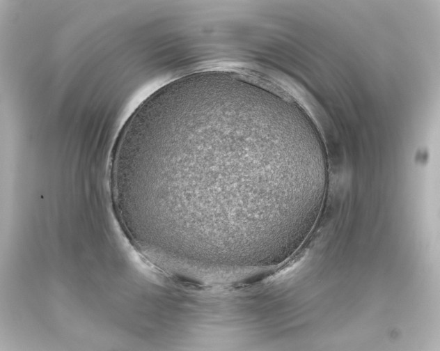 X0000093561050200710291015