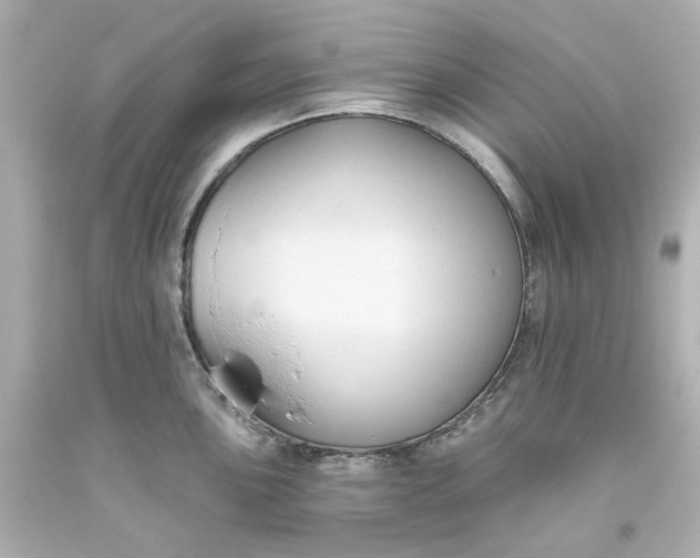 X0000093561051200710291015