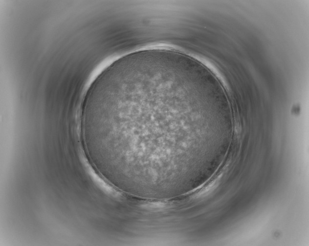 X0000093561054200710291015