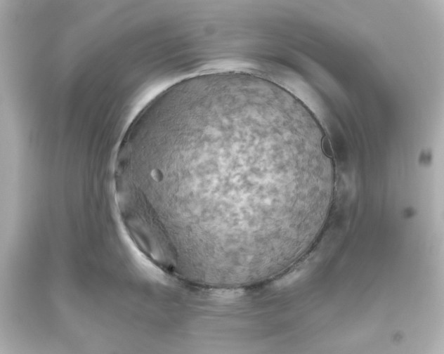 X0000093561055200710291015