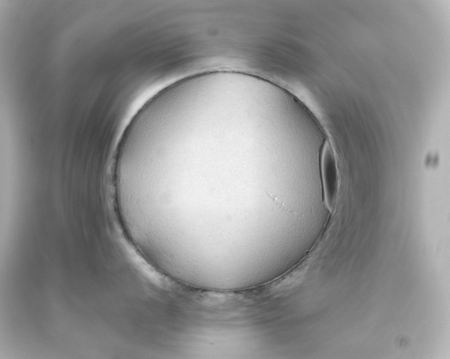 X0000093561056200710291015