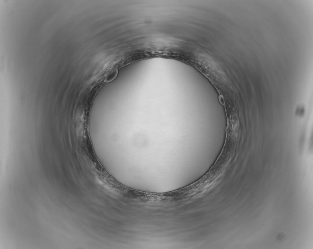 X0000093561060200710291014