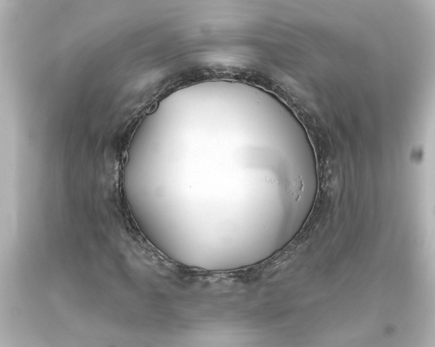 X0000093561061200710291014