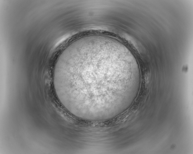 X0000093561064200710291014
