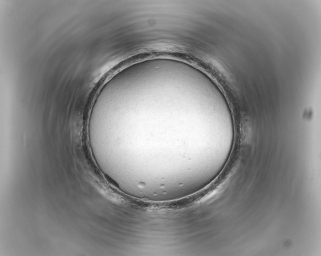 X0000093561065200710291014