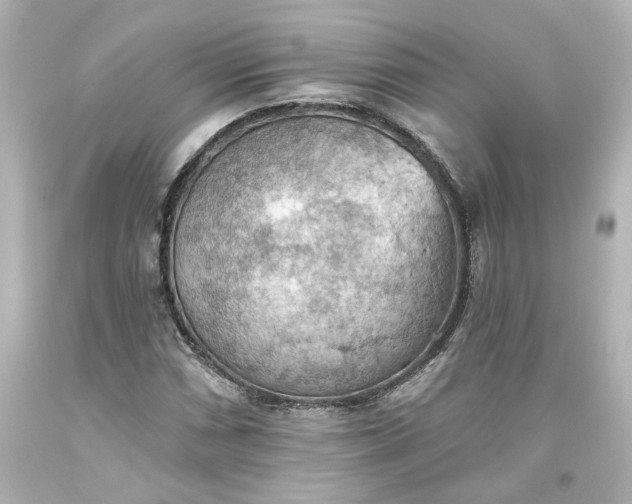 X0000093561066200710291014