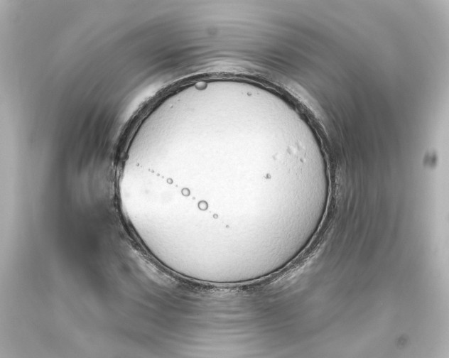 X0000093561067200710291014