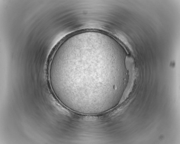 X0000093561068200710291014