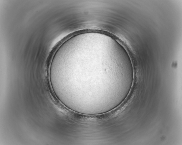 X0000093561070200710291014