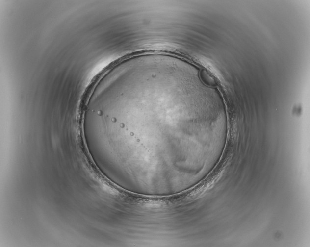 X0000093561071200710291014