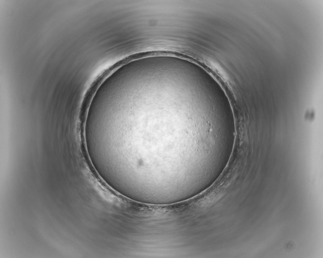 X0000093561072200710291014