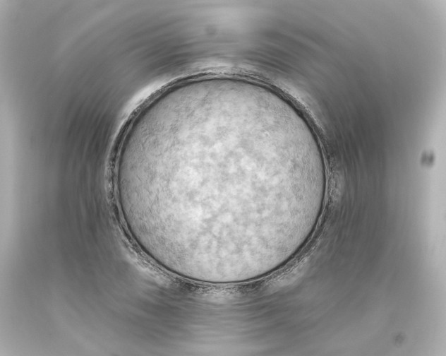 X0000093561074200710291014