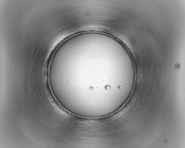 X0000093561075200710291014