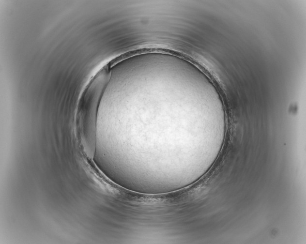 X0000093561076200710291014