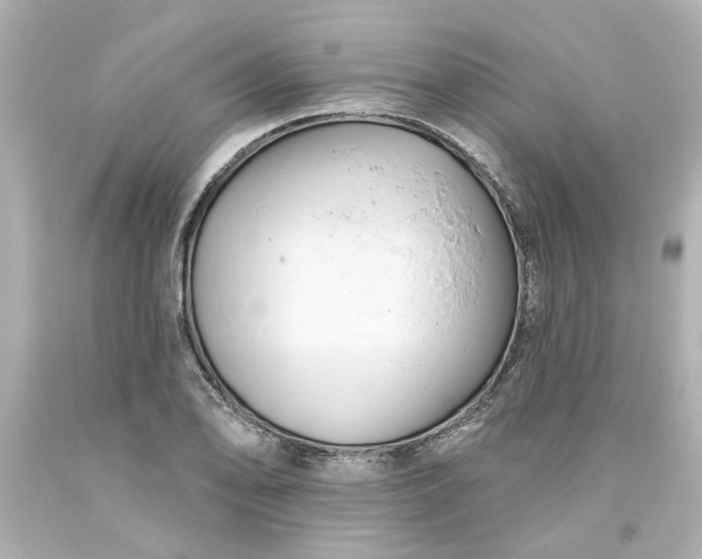 X0000093561078200710291014