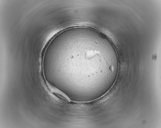 X0000093561079200710291014