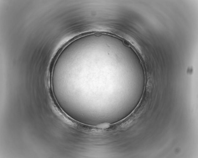 X0000093561080200710291014