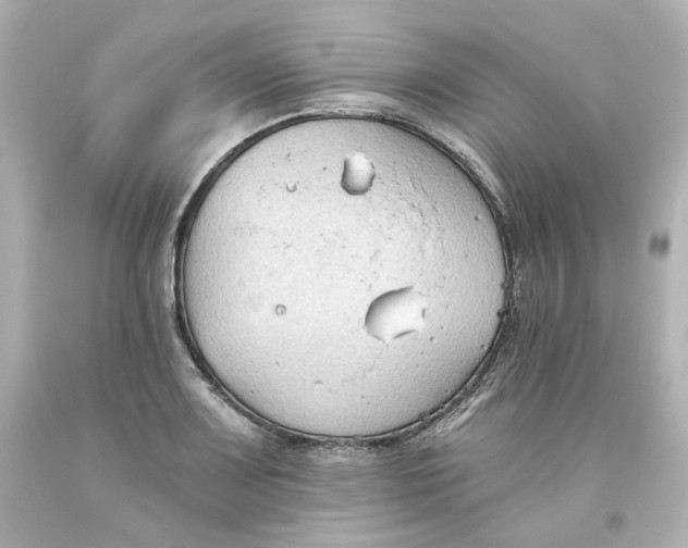 X0000093561083200710291014