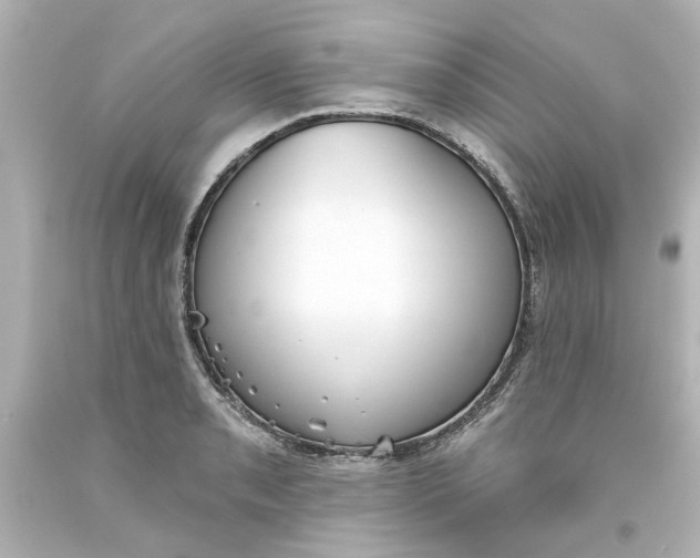 X0000093561085200710291014