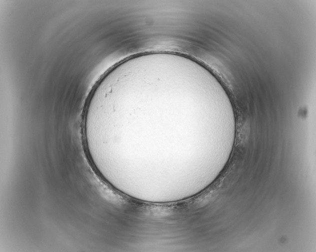 X0000093561086200710291014