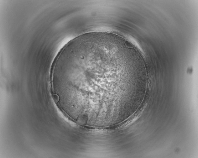 X0000093561087200710291014