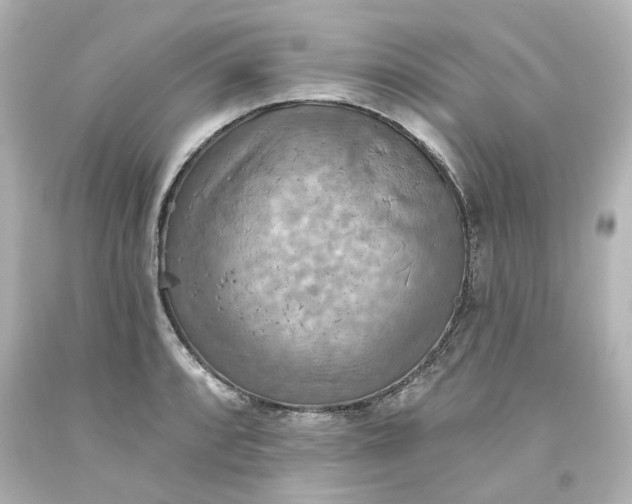 X0000093561088200710291014